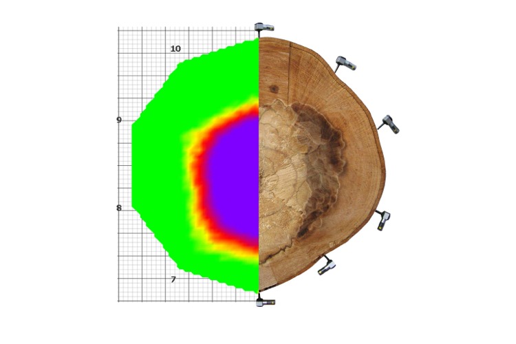 木材应力波测定仪,木材声波断层扫描系统,木材3D成像系统,木材应力波FB体育app官网成像仪,木材缺陷检测,古建筑木结构检测,树木空洞检测,匈牙利Fakopp